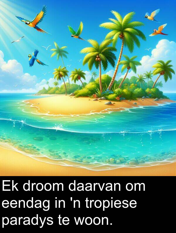 woon: Ek droom daarvan om eendag in 'n tropiese paradys te woon.