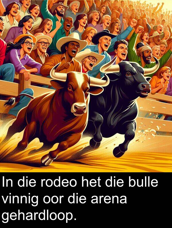 gehardloop: In die rodeo het die bulle vinnig oor die arena gehardloop.