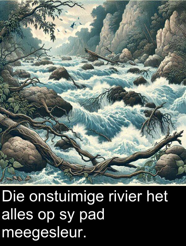 meegesleur: Die onstuimige rivier het alles op sy pad meegesleur.