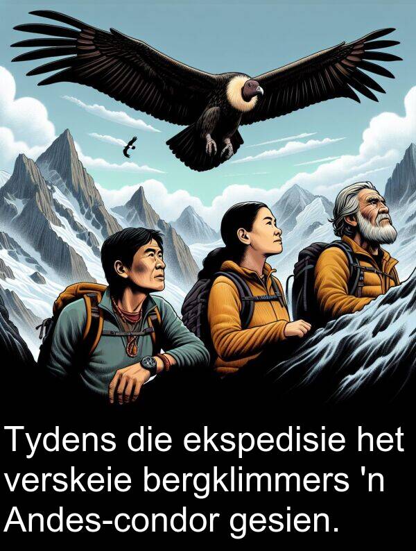 ekspedisie: Tydens die ekspedisie het verskeie bergklimmers 'n Andes-condor gesien.