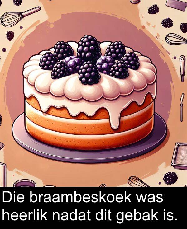 heerlik: Die braambeskoek was heerlik nadat dit gebak is.