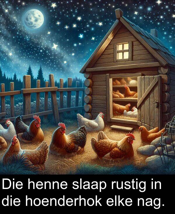 henne: Die henne slaap rustig in die hoenderhok elke nag.