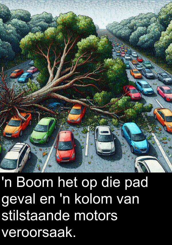 pad: 'n Boom het op die pad geval en 'n kolom van stilstaande motors veroorsaak.