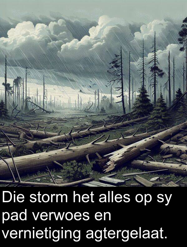 alles: Die storm het alles op sy pad verwoes en vernietiging agtergelaat.