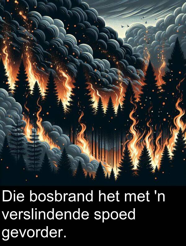 spoed: Die bosbrand het met 'n verslindende spoed gevorder.