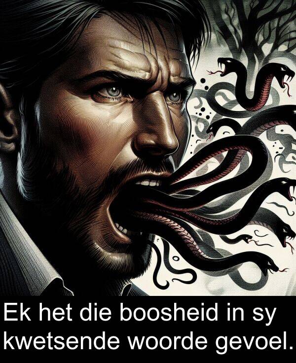 woorde: Ek het die boosheid in sy kwetsende woorde gevoel.