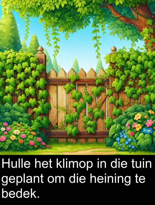 heining: Hulle het klimop in die tuin geplant om die heining te bedek.