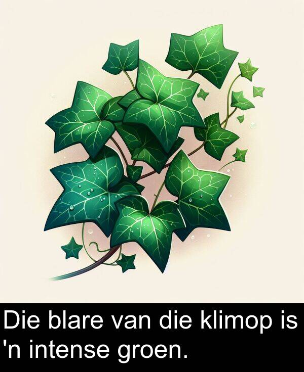 intense: Die blare van die klimop is 'n intense groen.