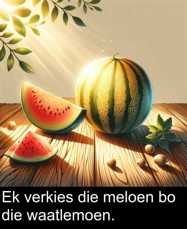 waatlemoen: Ek verkies die meloen bo die waatlemoen.