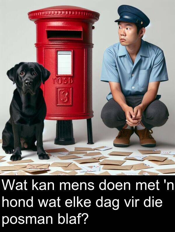 dag: Wat kan mens doen met 'n hond wat elke dag vir die posman blaf?