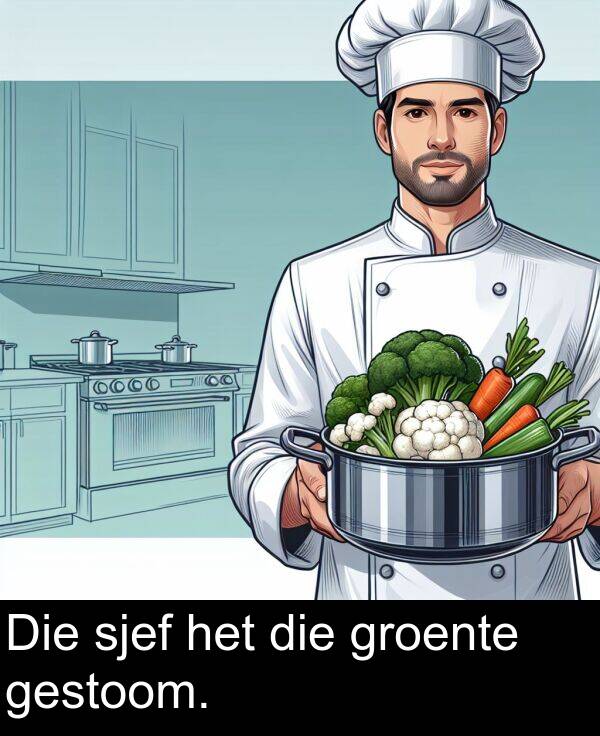 het: Die sjef het die groente gestoom.