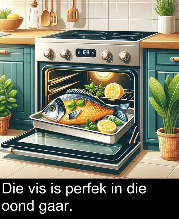 die: Die vis is perfek in die oond gaar.