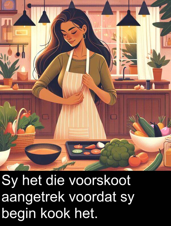 begin: Sy het die voorskoot aangetrek voordat sy begin kook het.