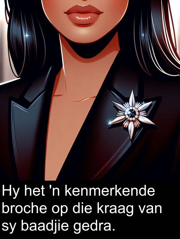 gedra: Hy het 'n kenmerkende broche op die kraag van sy baadjie gedra.