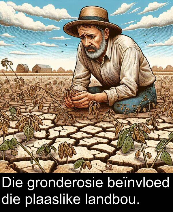 beïnvloed: Die gronderosie beïnvloed die plaaslike landbou.