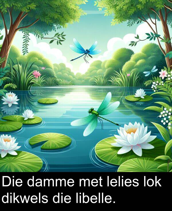 dikwels: Die damme met lelies lok dikwels die libelle.