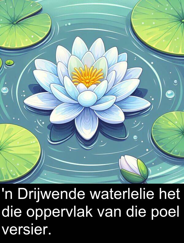 waterlelie: 'n Drijwende waterlelie het die oppervlak van die poel versier.