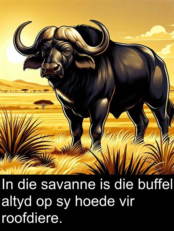 hoede: In die savanne is die buffel altyd op sy hoede vir roofdiere.