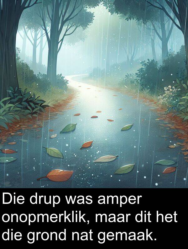 maar: Die drup was amper onopmerklik, maar dit het die grond nat gemaak.