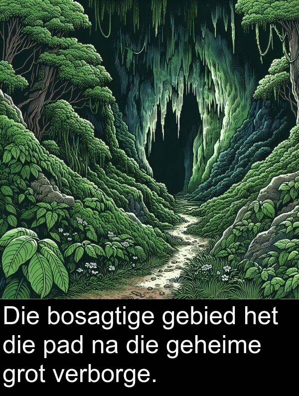 gebied: Die bosagtige gebied het die pad na die geheime grot verborge.