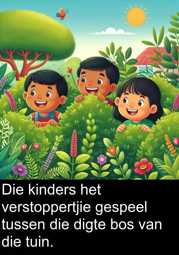 digte: Die kinders het verstoppertjie gespeel tussen die digte bos van die tuin.