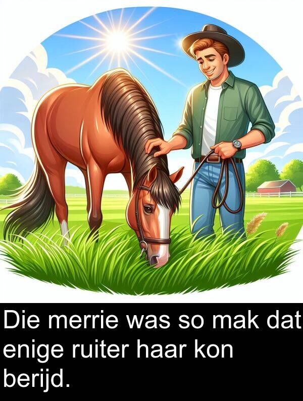 mak: Die merrie was so mak dat enige ruiter haar kon berijd.