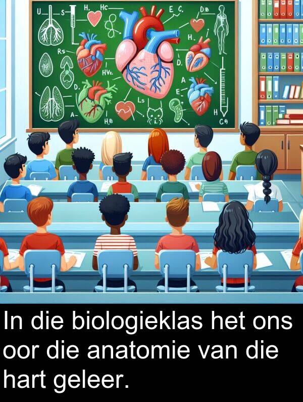 geleer: In die biologieklas het ons oor die anatomie van die hart geleer.