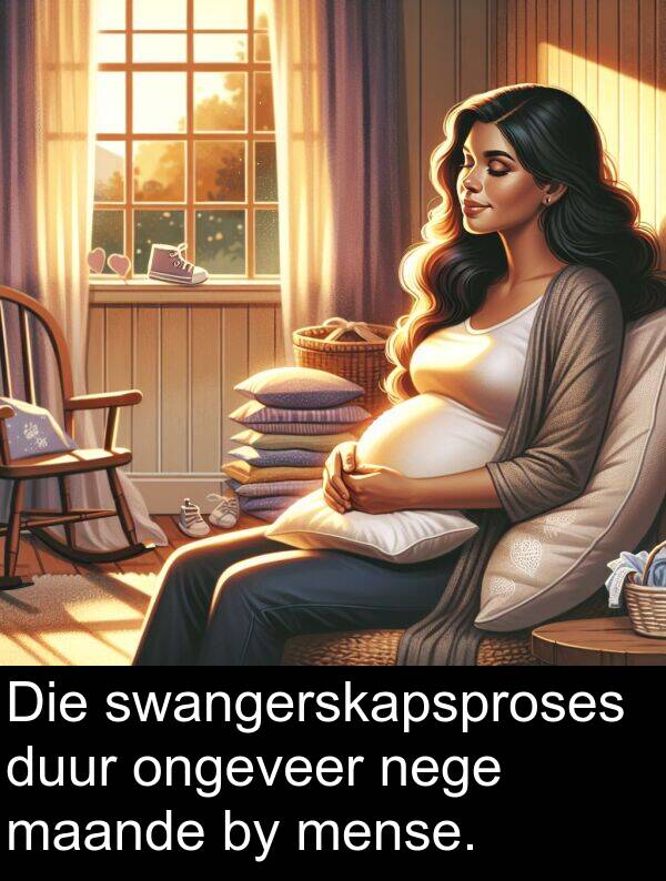 maande: Die swangerskapsproses duur ongeveer nege maande by mense.