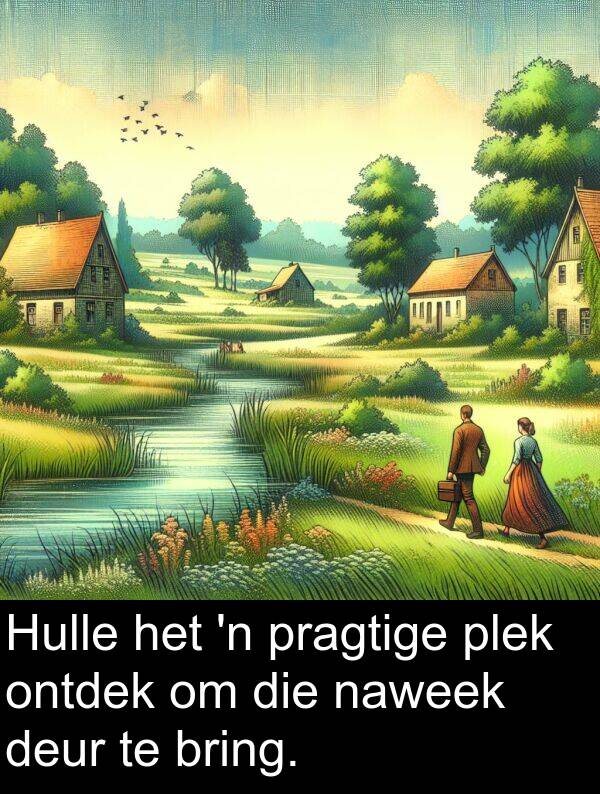 naweek: Hulle het 'n pragtige plek ontdek om die naweek deur te bring.