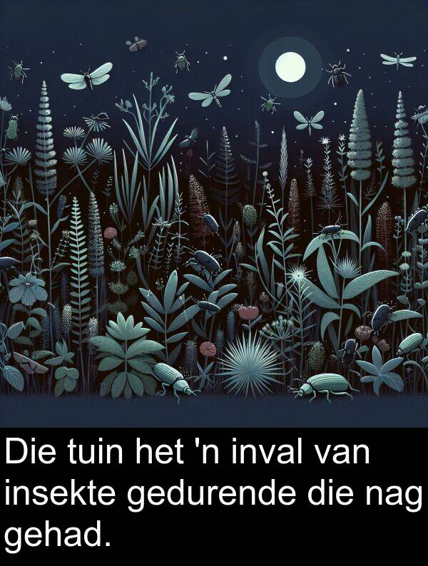 gehad: Die tuin het 'n inval van insekte gedurende die nag gehad.