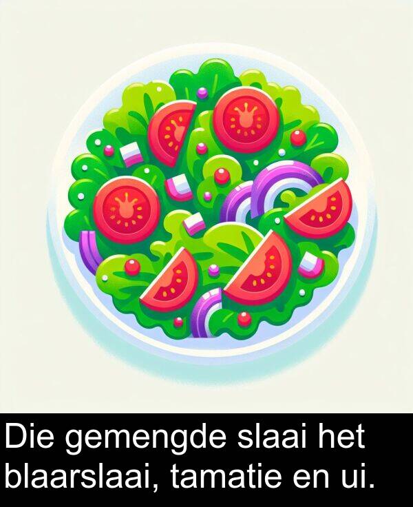 ui: Die gemengde slaai het blaarslaai, tamatie en ui.