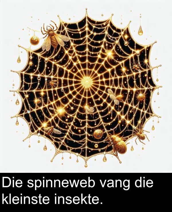insekte: Die spinneweb vang die kleinste insekte.