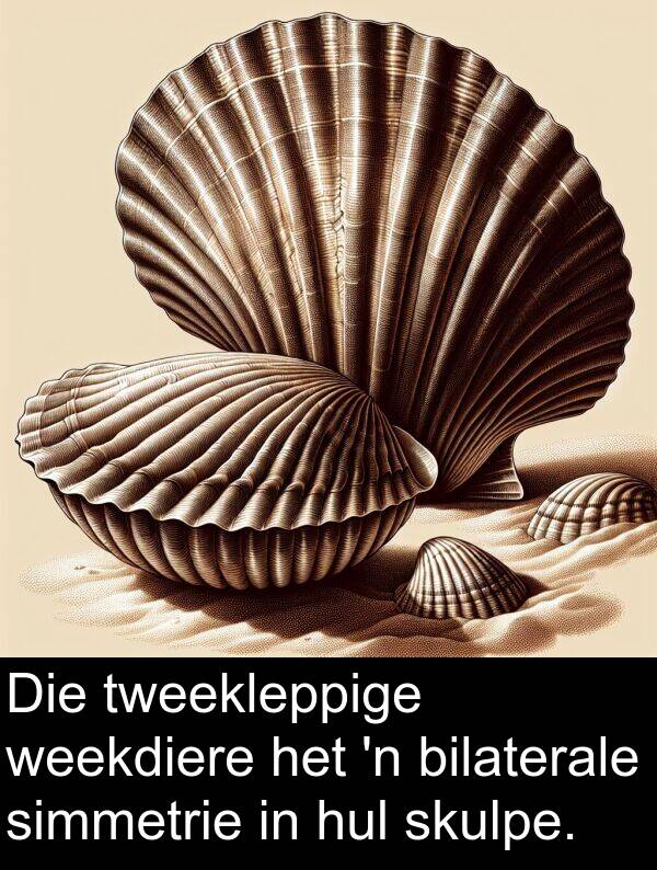 weekdiere: Die tweekleppige weekdiere het 'n bilaterale simmetrie in hul skulpe.