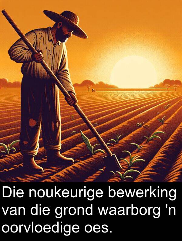 noukeurige: Die noukeurige bewerking van die grond waarborg 'n oorvloedige oes.