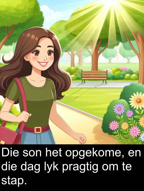 lyk: Die son het opgekome, en die dag lyk pragtig om te stap.