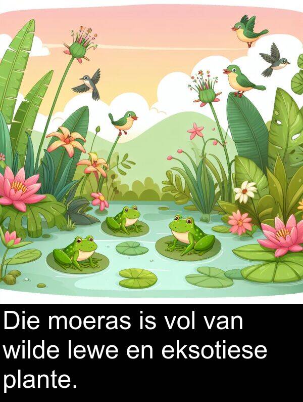 eksotiese: Die moeras is vol van wilde lewe en eksotiese plante.