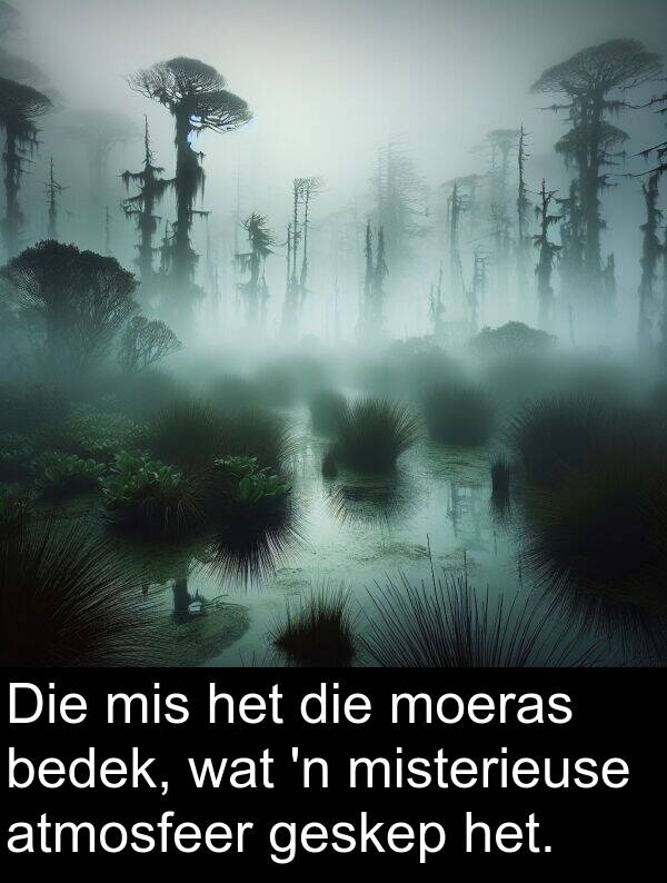 mis: Die mis het die moeras bedek, wat 'n misterieuse atmosfeer geskep het.