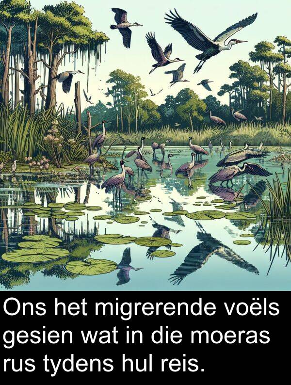 rus: Ons het migrerende voëls gesien wat in die moeras rus tydens hul reis.