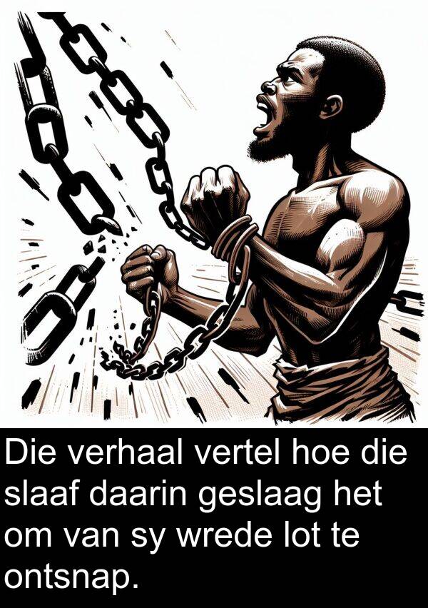 daarin: Die verhaal vertel hoe die slaaf daarin geslaag het om van sy wrede lot te ontsnap.