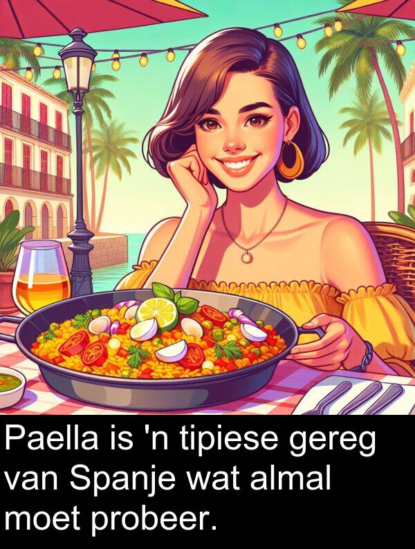 almal: Paella is 'n tipiese gereg van Spanje wat almal moet probeer.