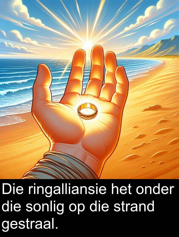 ringalliansie: Die ringalliansie het onder die sonlig op die strand gestraal.
