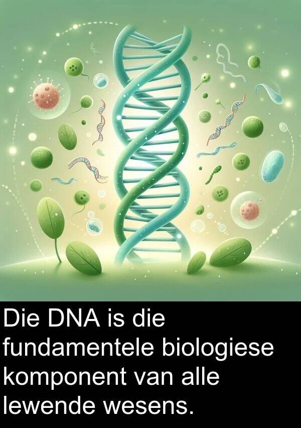 lewende: Die DNA is die fundamentele biologiese komponent van alle lewende wesens.