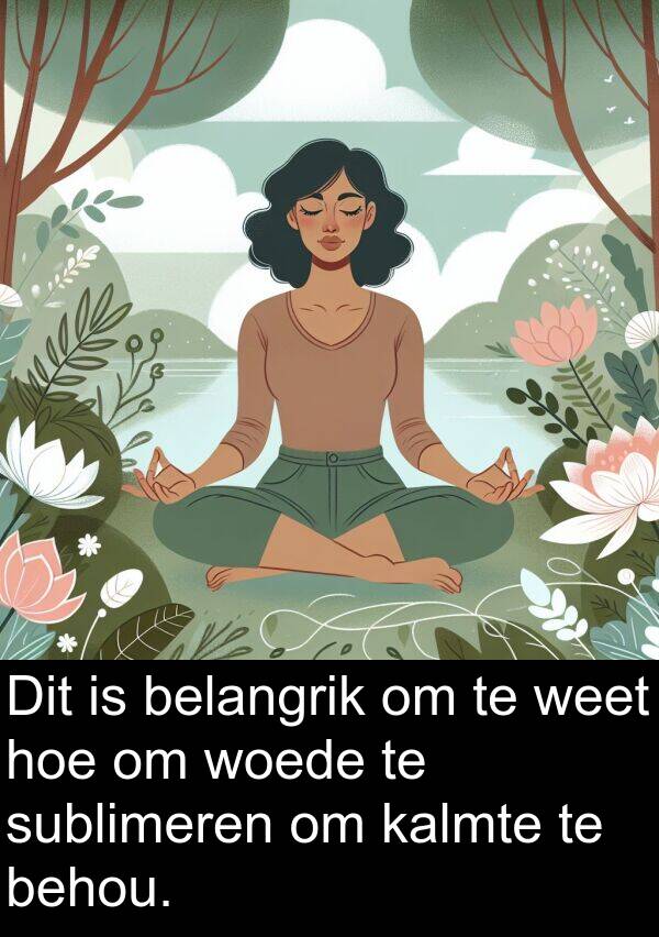 behou: Dit is belangrik om te weet hoe om woede te sublimeren om kalmte te behou.
