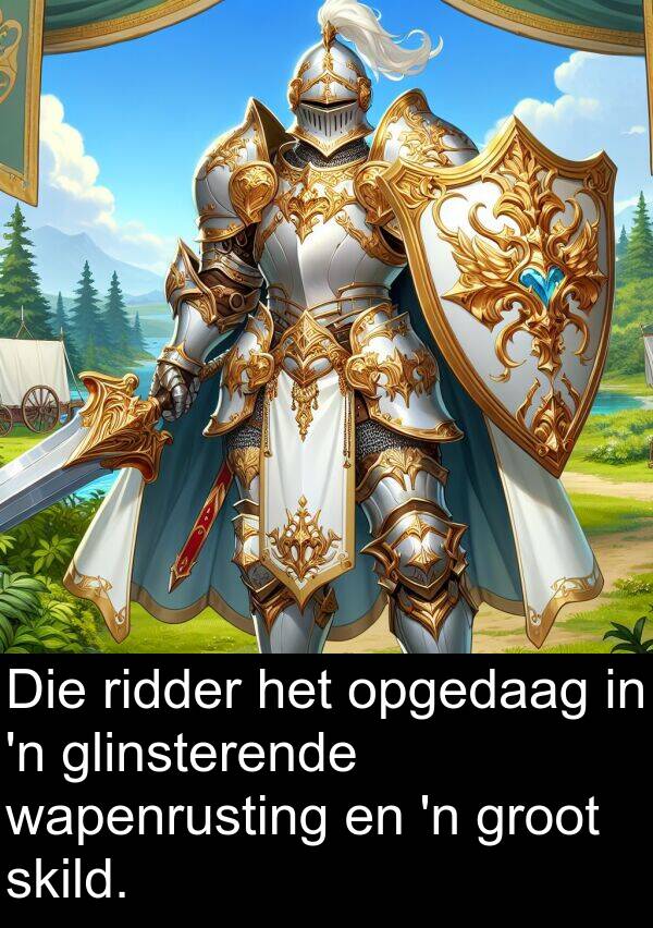 wapenrusting: Die ridder het opgedaag in 'n glinsterende wapenrusting en 'n groot skild.