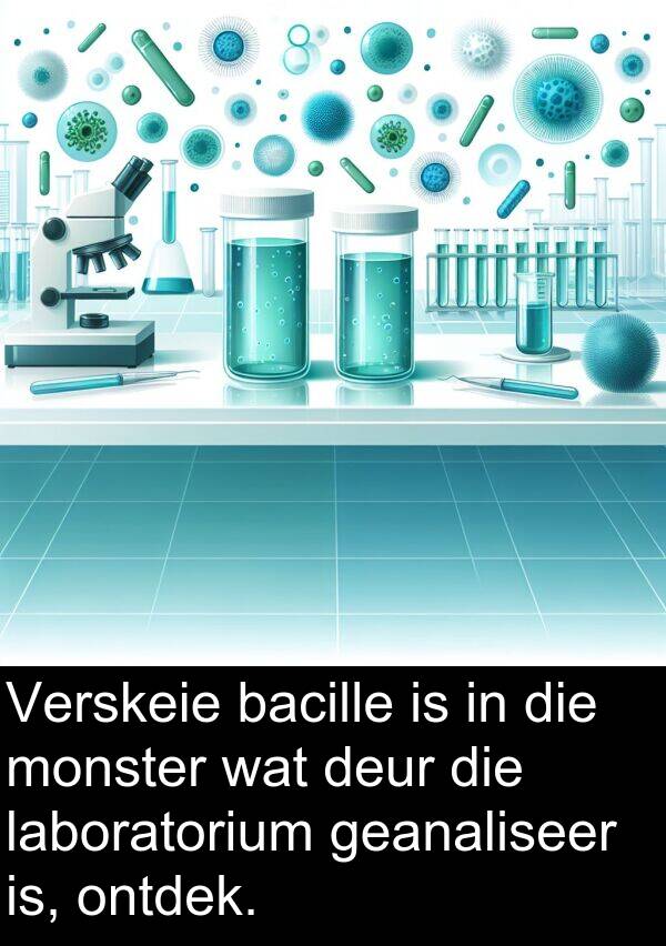 geanaliseer: Verskeie bacille is in die monster wat deur die laboratorium geanaliseer is, ontdek.