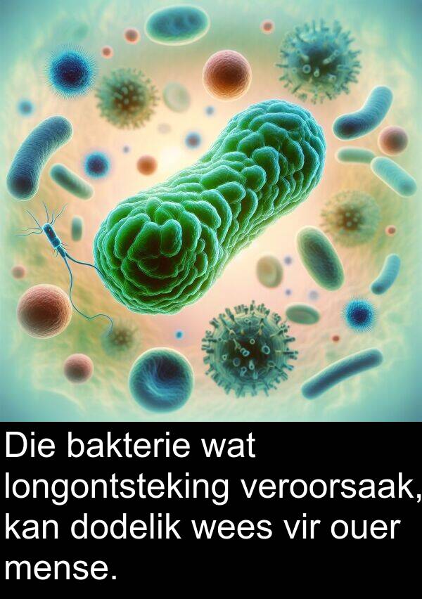 longontsteking: Die bakterie wat longontsteking veroorsaak, kan dodelik wees vir ouer mense.