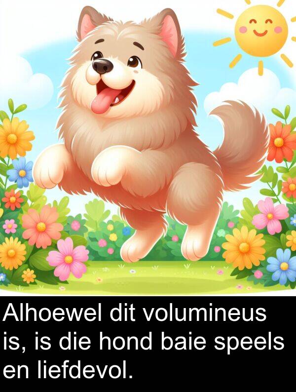 is: Alhoewel dit volumineus is, is die hond baie speels en liefdevol.
