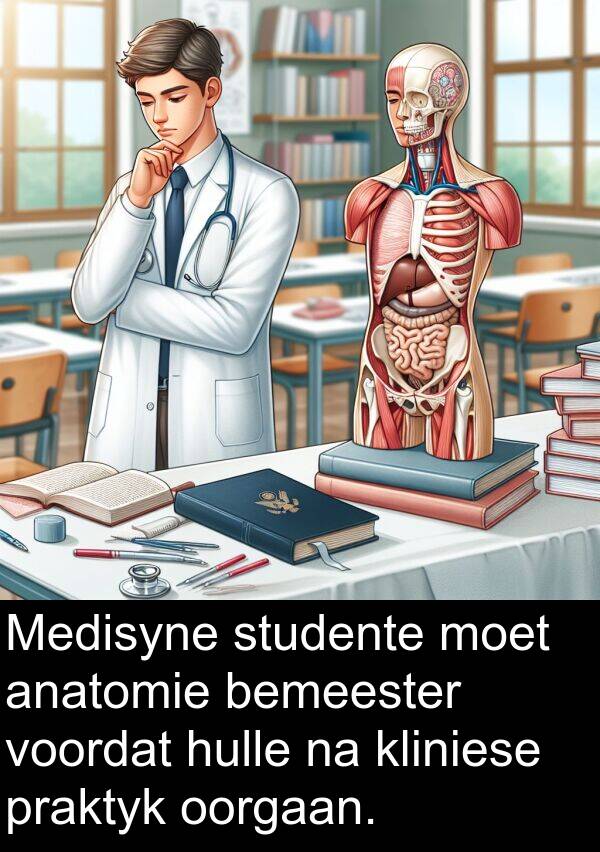 bemeester: Medisyne studente moet anatomie bemeester voordat hulle na kliniese praktyk oorgaan.