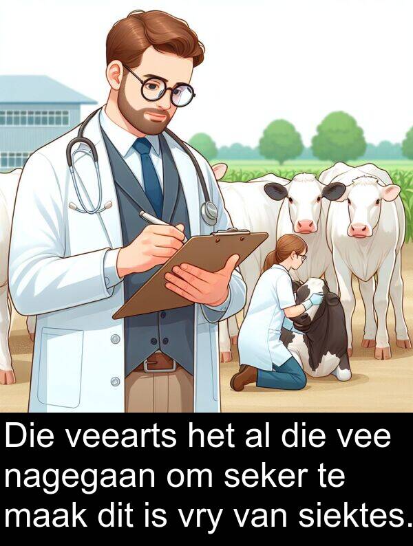 siektes: Die veearts het al die vee nagegaan om seker te maak dit is vry van siektes.