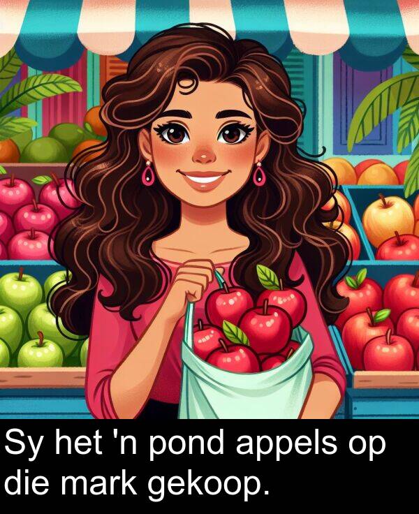 gekoop: Sy het 'n pond appels op die mark gekoop.
